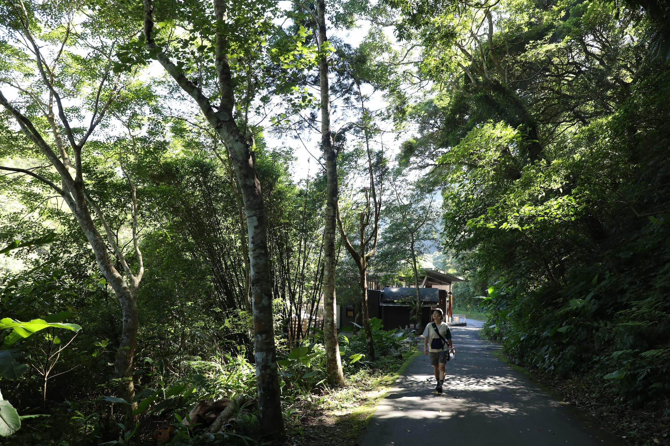 內洞森林遊樂區有條長約一公里的觀瀑步道，全程是平緩柏油路面。