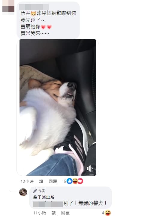 柯基飼主現身留言向被嚇壞的貓咪賠罪。（翻攝自翁子派出所臉書）