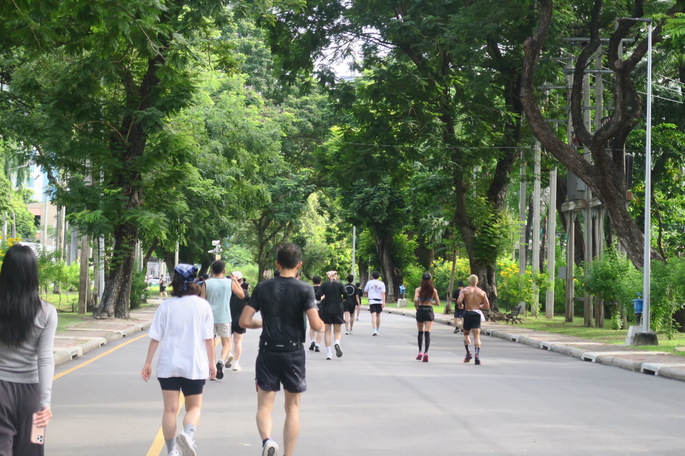 早晨的公園中皆是慢跑族。